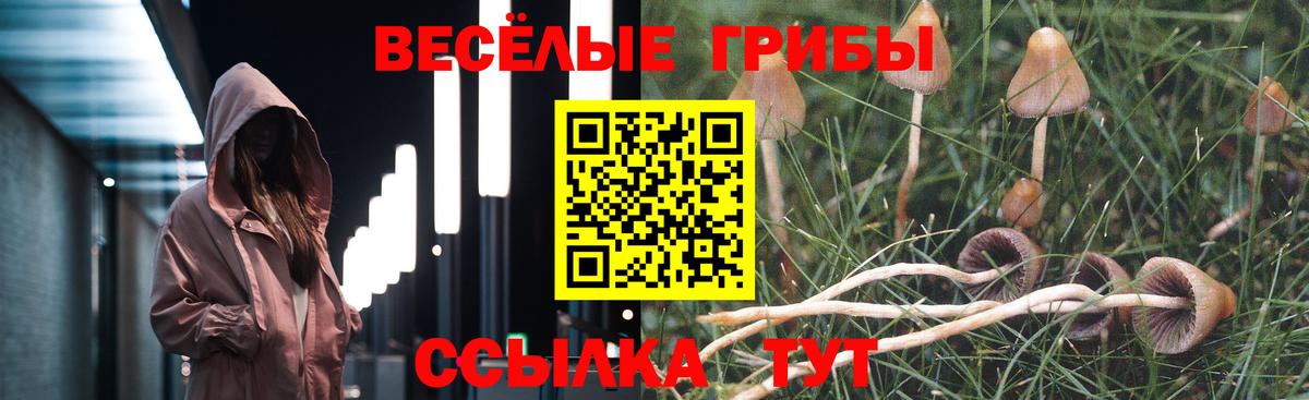 Псилоцибиновые грибы Magic Shrooms  Вход с VPN  Шебекино 